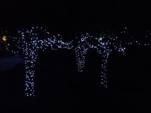 400-solar-fairy-lights-at-night-500